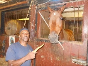 Alumni member Dave Malone feeds carrots to C.P.D. Mounted Horse Paco