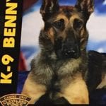 K-9 Benny