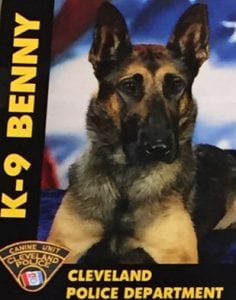 K-9 Benny