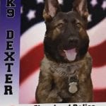 K-9 Dexter