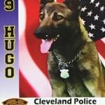 K-9 Hugo