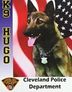 K-9 Hugo