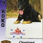 K-9 Roko