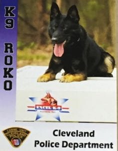 K-9 Roko