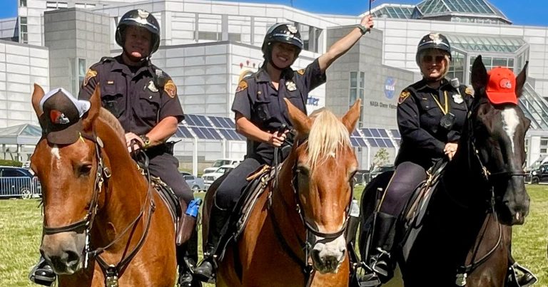 Three Cleveland Police Mounted Unit officers on horseback outside Cleveland Browns Stadium, with one officer holding a Browns flag while the horses stand on the grass.