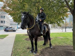 Officer George Janusczak on horseback beneath fall foliage, wearing a leather jacket and helmet.